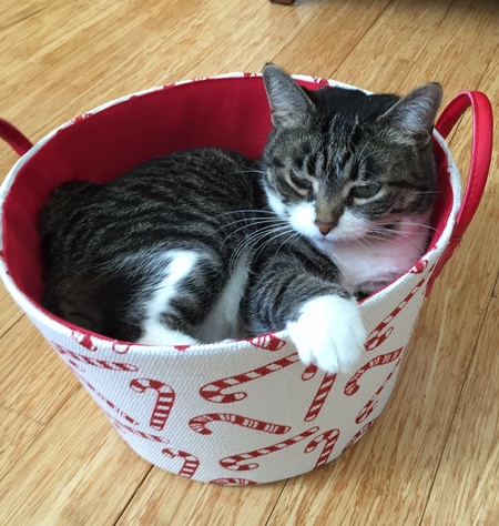 Tinker