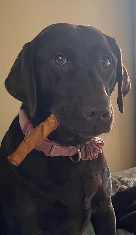 Ruby