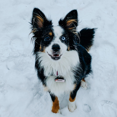 Rory Oreo