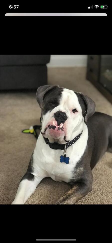 Tank