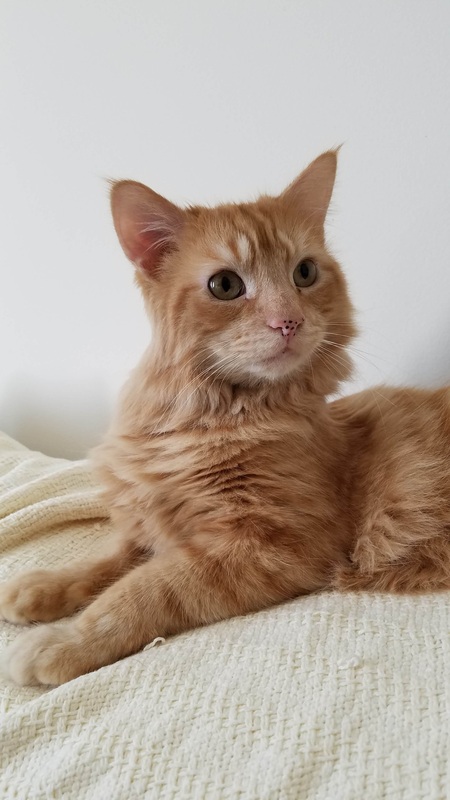 Fletcher