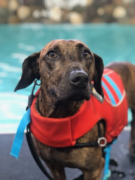 Seamus