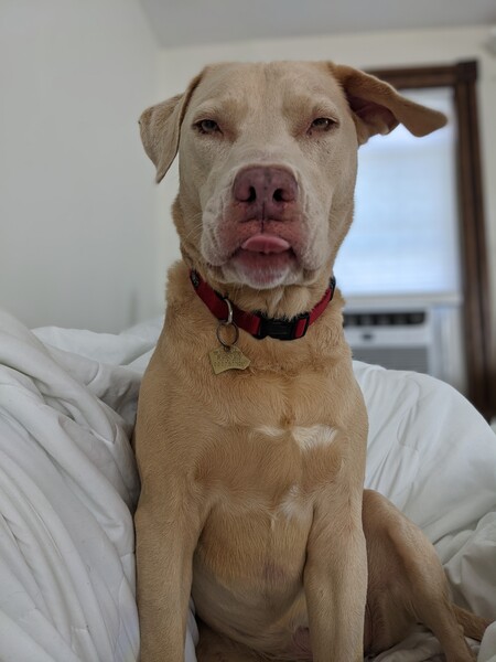 Lucy