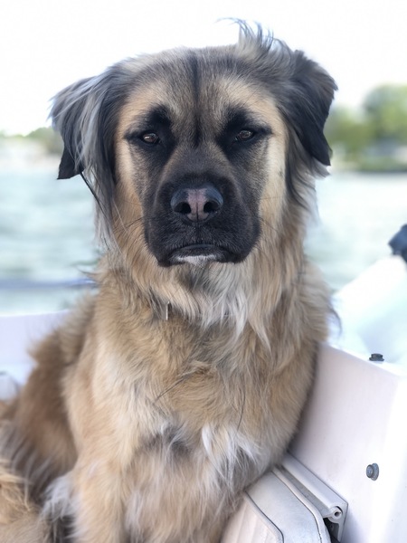 Grady
