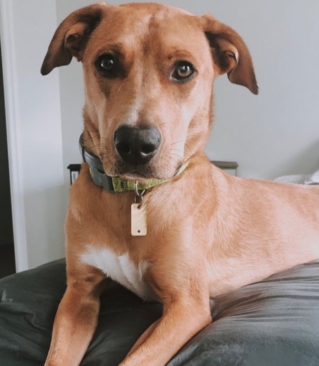 Tucker