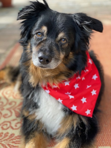 Bernie