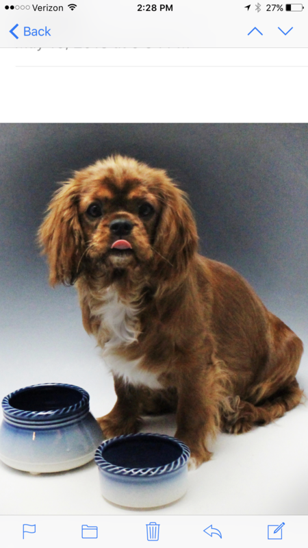 Peanut Butter 