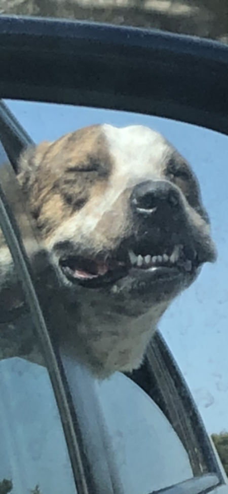 Clifford