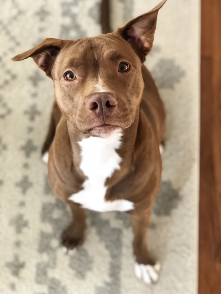 Ruby 