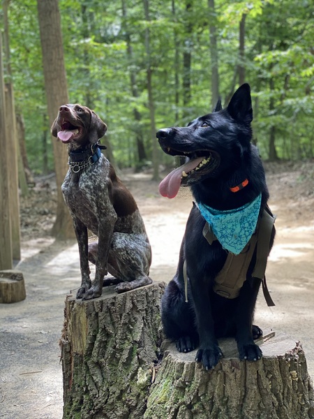 Vader (GSD) & Blaise (GSP)