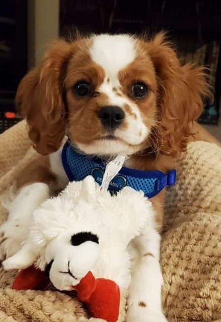 Benny