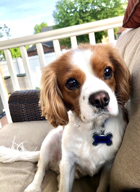 Charlie