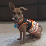 Entry image for Peanut