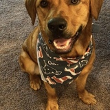 Entry image for Tucker