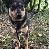 Entry image for Khloe
