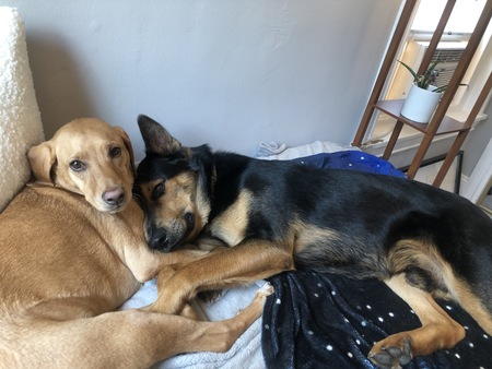 Entry image for Little Ann and Spock. Clicking this image will show a larger photo