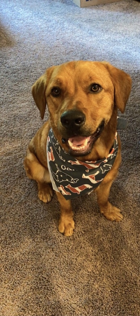 Entry image for Tucker. Clicking this image will show a larger photo