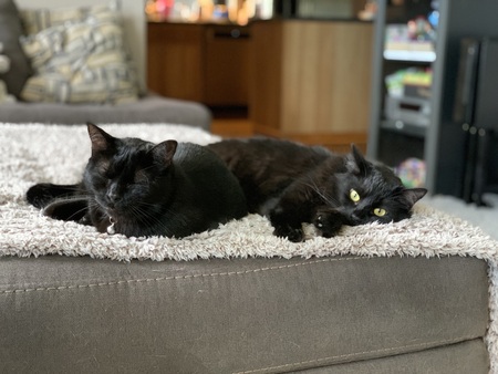 Pipsqueak and Mindi 