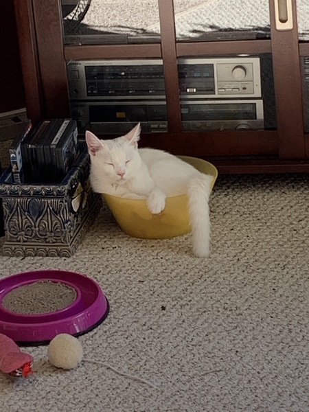 Axel 