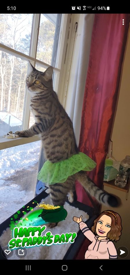 Nala