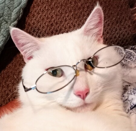 Milo