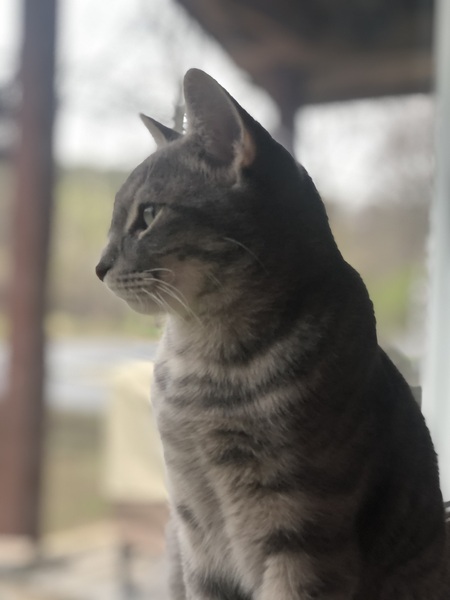 Jax
