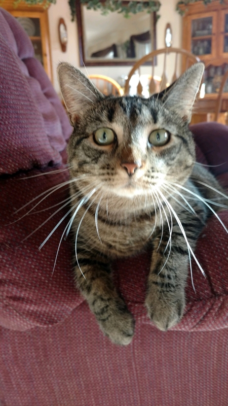 Lily