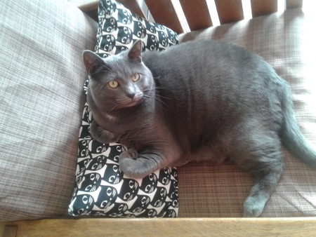 Jasper