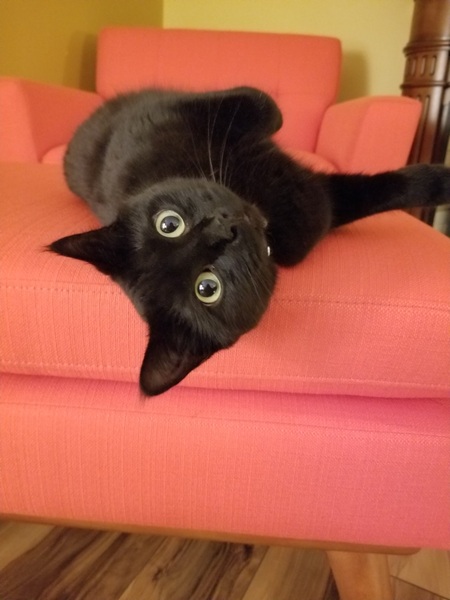 Nyx