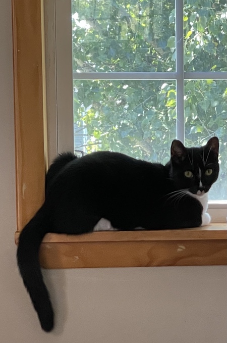 Luna
