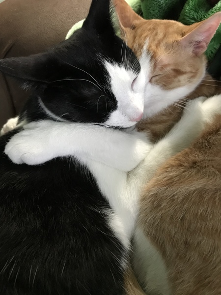 Smirks and Gizmo
