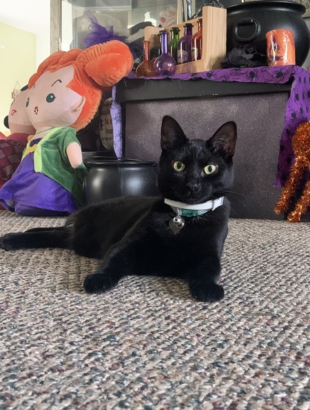 Binx