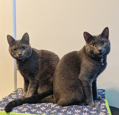 Jones & Cassie