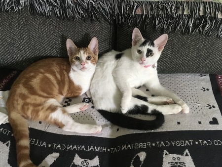 Otis and Zoey