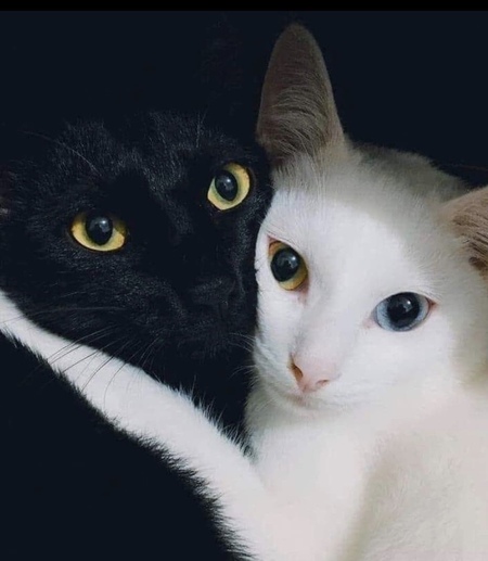 Bernie Ernie & Penny Ann
