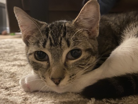 Millie 