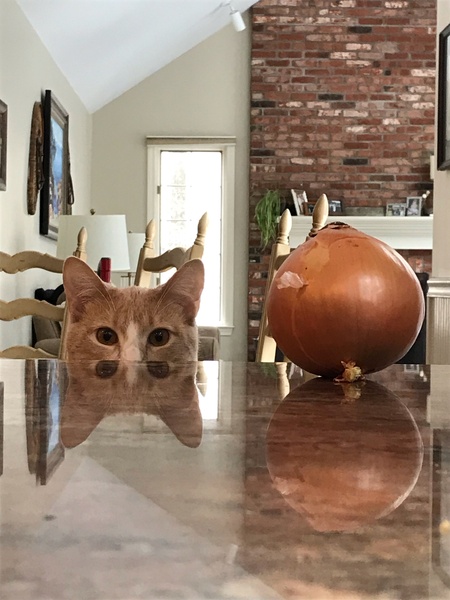 Maggie