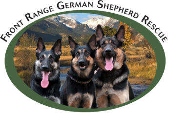 Logo for Annual Calendar Contest Fundraiser
