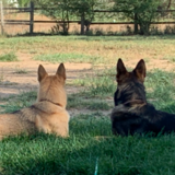 Entry image for Aiko and Killian