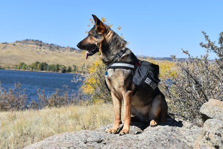 Entry image for SAR Kimber - Alumni. Clicking this image will show a larger photo