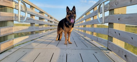 Entry image for Malik. Clicking this image will show a larger photo