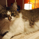 Entry image for Smudge