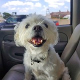 Entry image for Finley