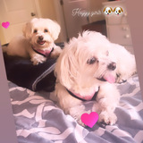 Entry image for Funny & Bunny