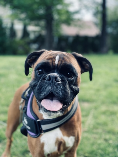 Sadie
