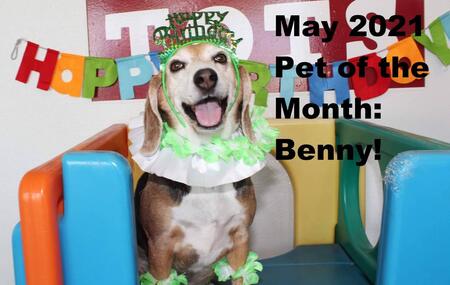 Benny