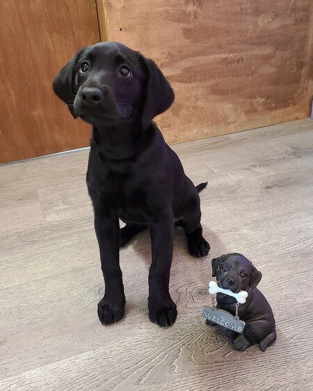 Skye