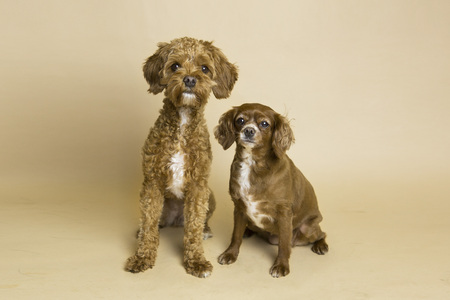 Charley and Riley