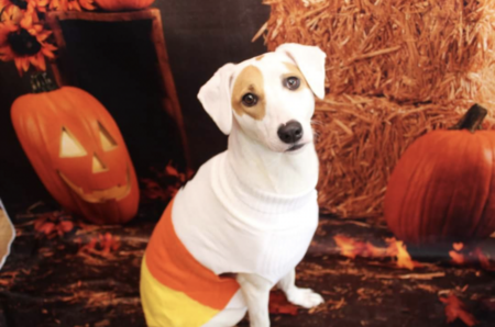 Kiki