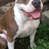 Entry image for Trudy